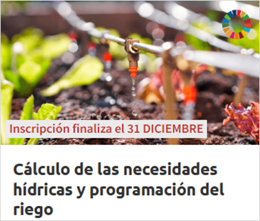 Cálculo de las necesidades hídricas y programación del riego